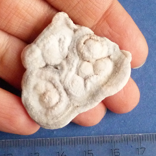 Chalcedon hadí oko — foto 2