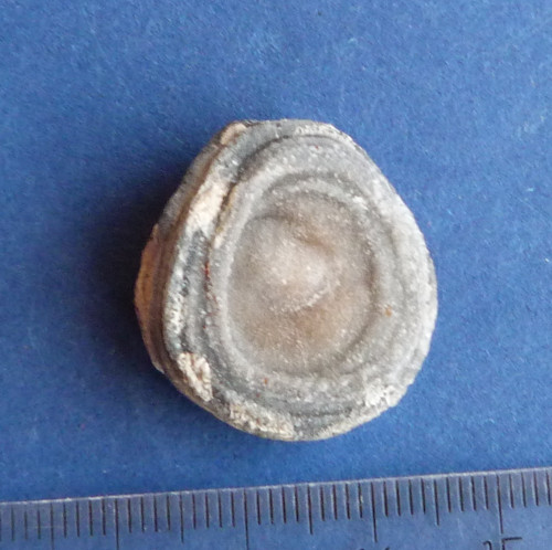 Chalcedon hadí oko — foto 3