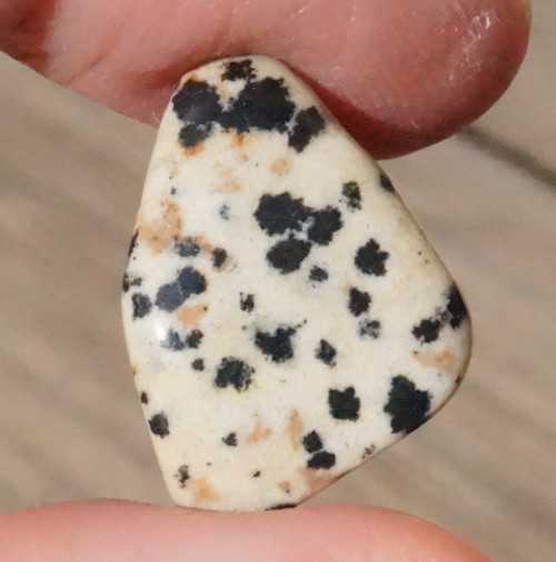 Jaspis dalmatin (22 mm) D8372 — foto 2
