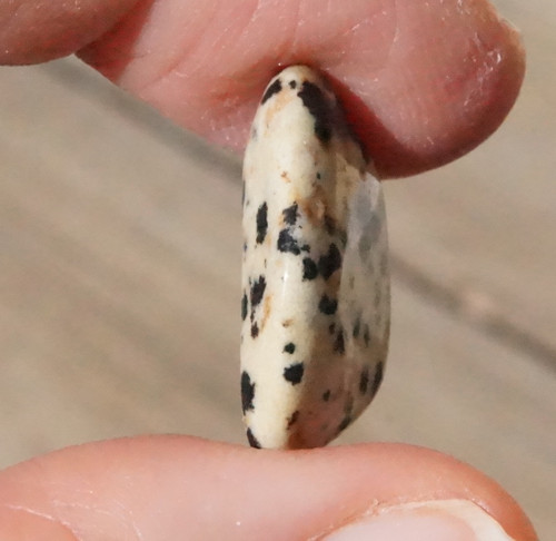 Jaspis dalmatin (22 mm) D8372 — foto 3
