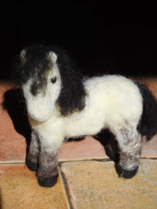 Poník Emil — foto 3