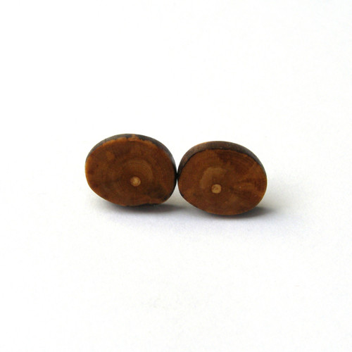 Kúsky kiwi — foto 2