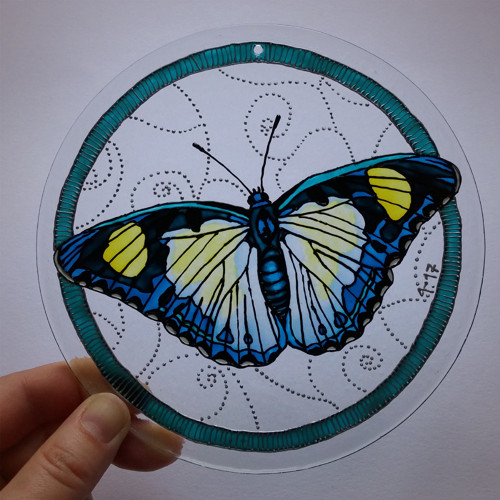 Euphaedra janetta — foto 2