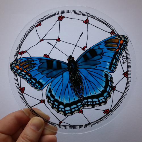 Limenitis arthemis — foto 2