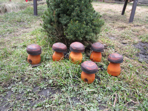 Hříbek nejmenší — foto 2