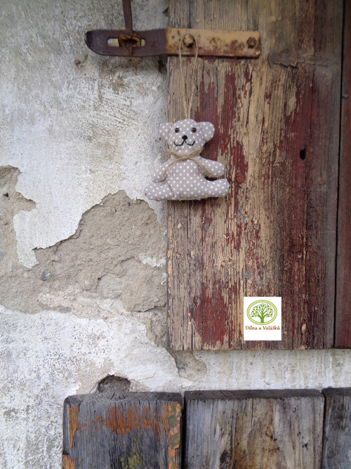 Medvídek Eliáš — foto 2