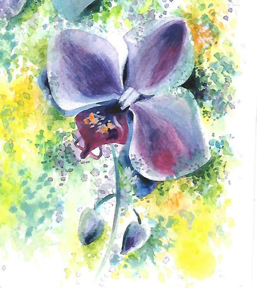 ...orchidej - rezervace... — foto 2