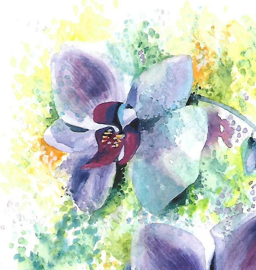 ...orchidej - rezervace... — foto 3