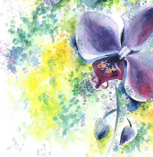...orchidej - rezervace... — foto 4