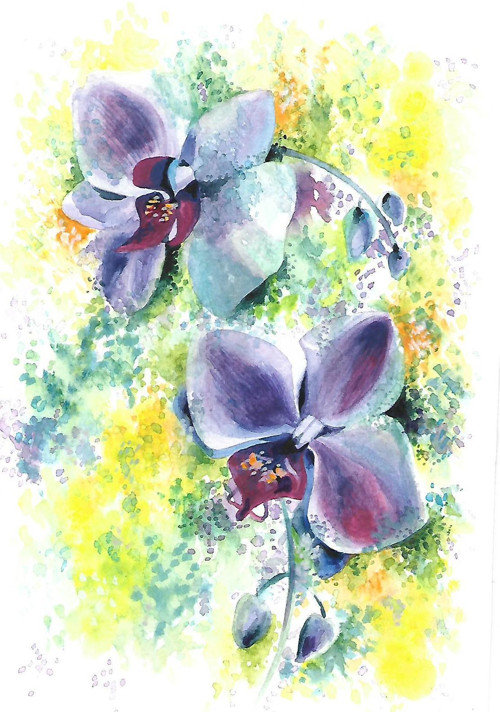 ...orchidej - rezervace... — foto 6