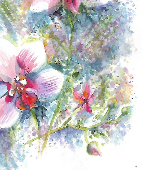 ...orchidej - rezervace... — foto 3