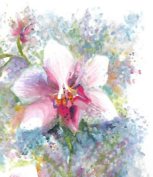 ...orchidej - rezervace... — foto 4