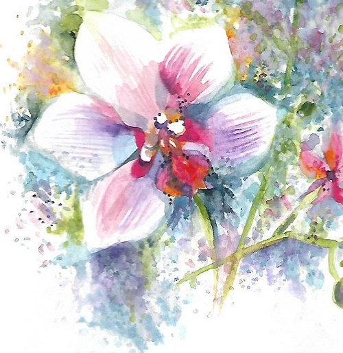 ...orchidej - rezervace... — foto 5