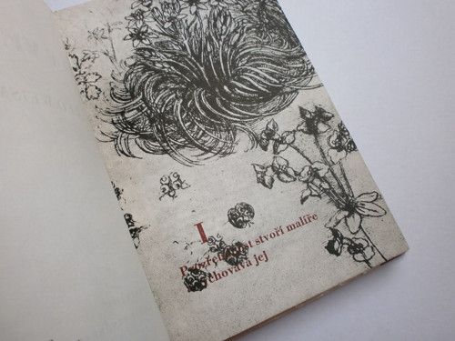 Leo Weismantel - Leonardo da Vinci — foto 2