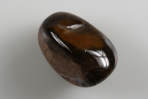 Zkamenělé dřevo 3,5 cm — foto 2