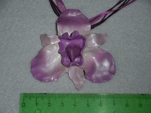 Orchidej — foto 5