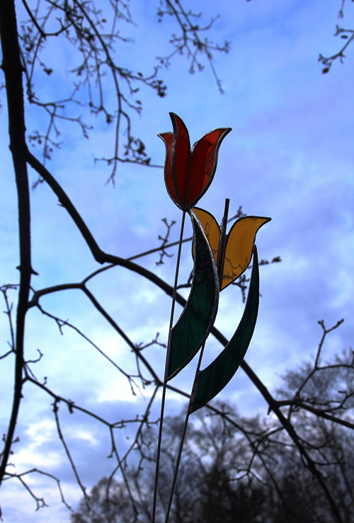 Vitrážové tulipány - plné — foto 3