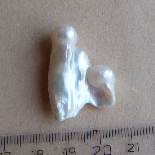 Perla kultivovaná — foto 5