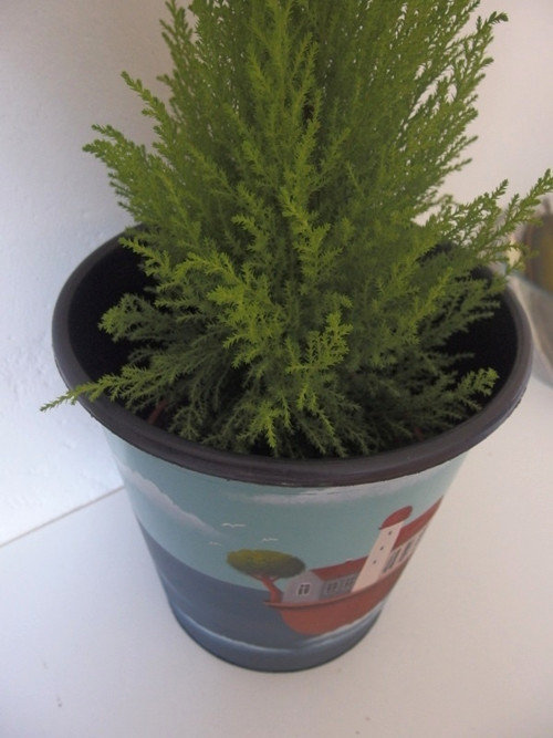 Osmilitrák 4 — foto 3