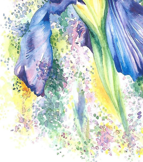 ...iris... — foto 5