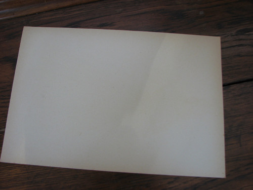 Starorůžová...list z módního katalogu — foto 5