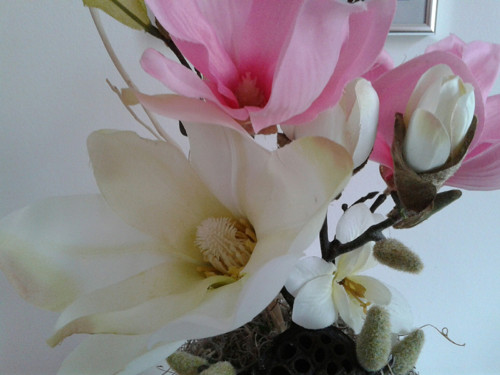 Celoroční dekorace s magnolií — foto 3