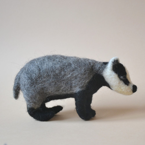 Jezevec — foto 2