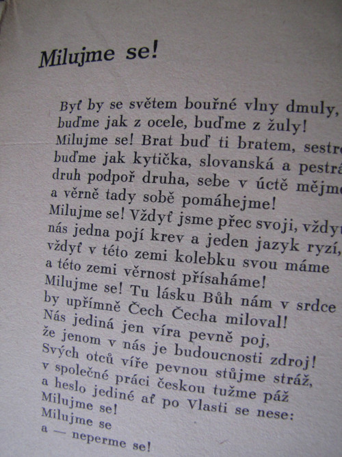 Bloudící motýl. — foto 3