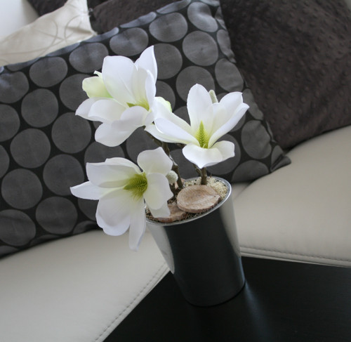 Bílé magnolie ve stříbře — foto 2