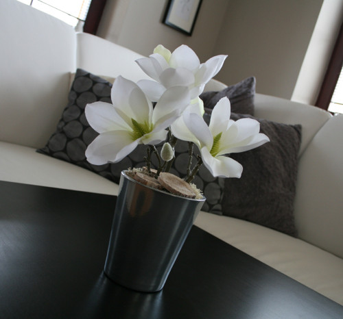 Bílé magnolie ve stříbře — foto 4
