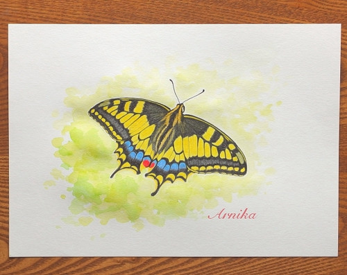 Butterfly II — foto 3