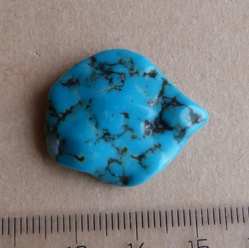 Tyrkys pravý - Arizona — foto 3