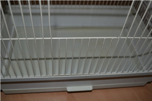 Ptačí klec k renovaci — foto 3