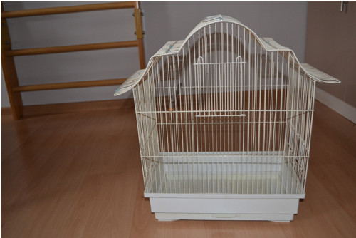 Ptačí klec k renovaci — foto 5