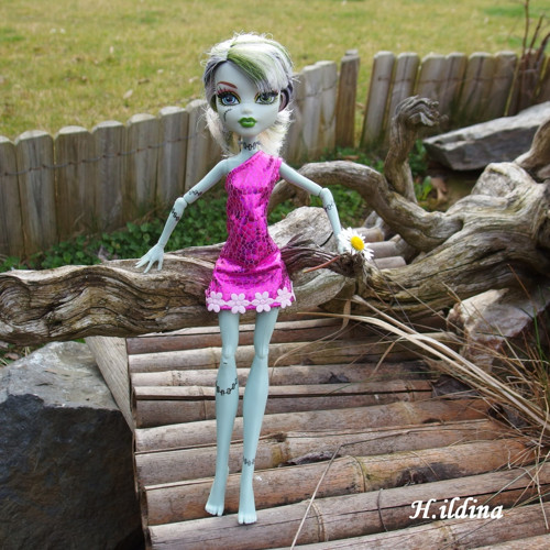 Růžové šatičky SOFIA pro MONSTER HIGH — foto 3