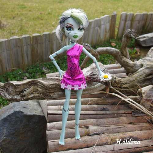 Růžové šatičky SOFIA pro MONSTER HIGH — foto 5