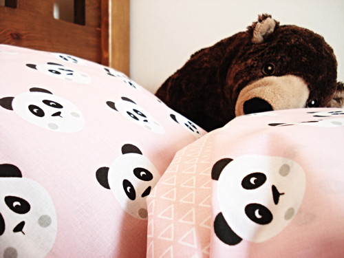 Pandy na růžové — foto 6