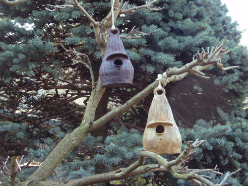 Budka — foto 2