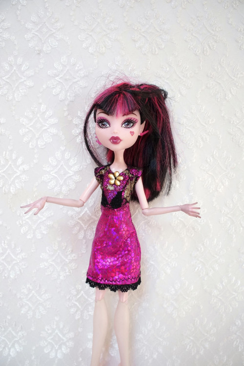 Šaty pro MH / Ever After High — foto 5