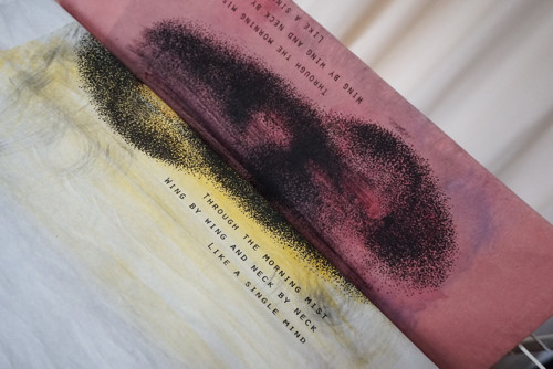 Hejno a haiku (polštářky) — foto 3