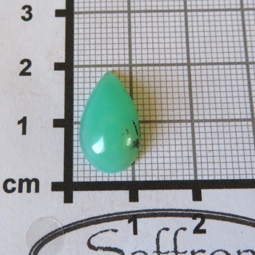 Top chryzopras Austrálie č.08 — foto 2