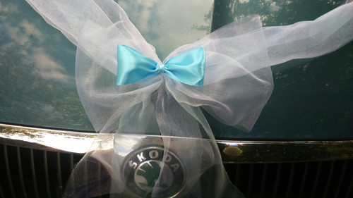 Šerpa na svatební auto — foto 2