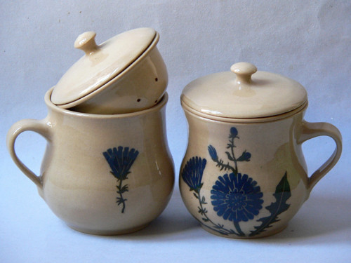 Čekanka — foto 2