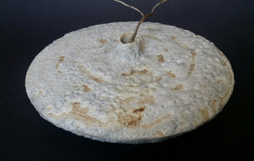 Ĺávovka — foto 2