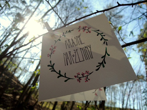 Narozeninové bobule — foto 4