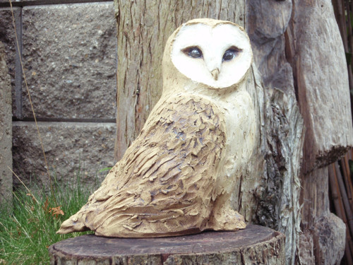 Sova pálená — foto 3