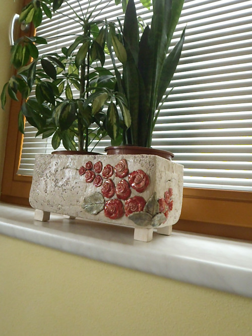 Truhlík růžičkový — foto 2