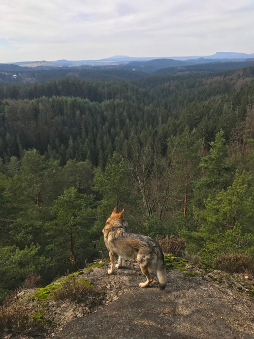 Saunstejn — foto 3