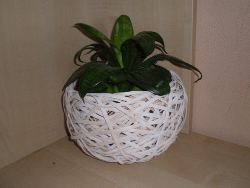 Obal šénový — foto 4