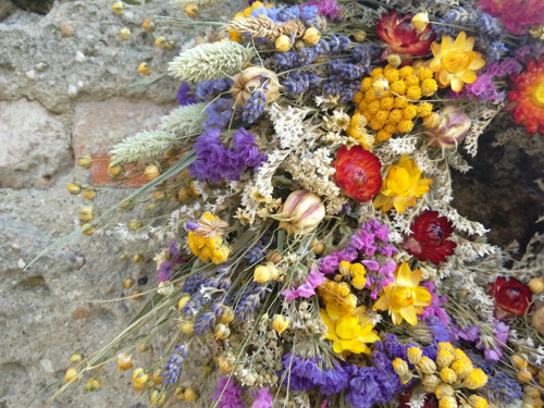 Přírodní směska — foto 4